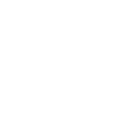 Icon LEAP HR WO