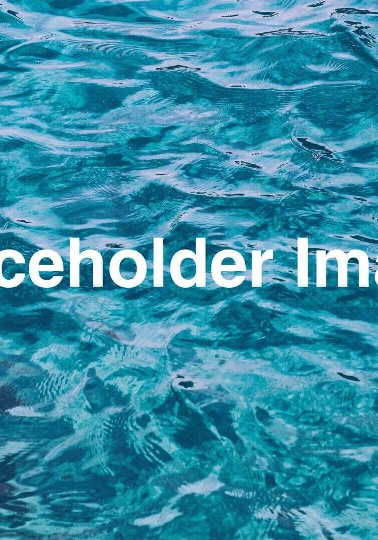 Placeholder Image Placeholder Image